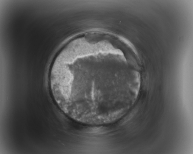 X0000087621279200705251955