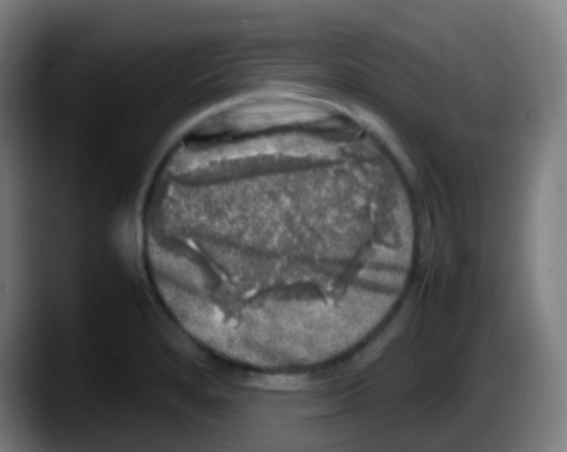X0000087621280200705251955