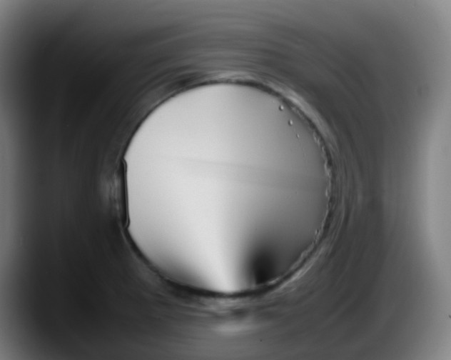 X0000087621281200705251955