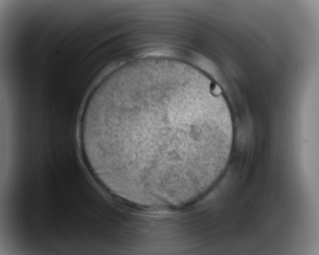 X0000087621282200705251955