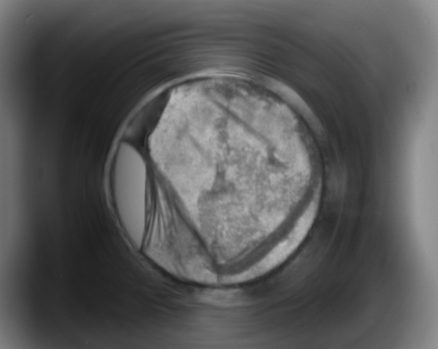 X0000087621284200705251955