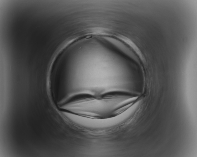 X0000087621285200705251955