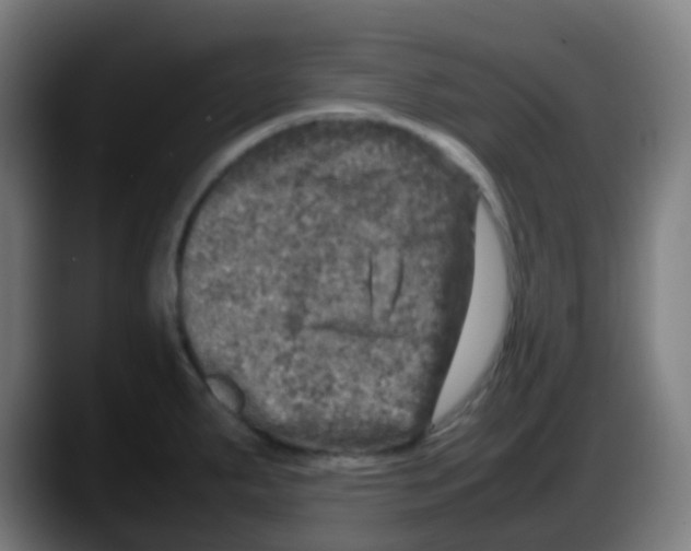 X0000087621287200705251955