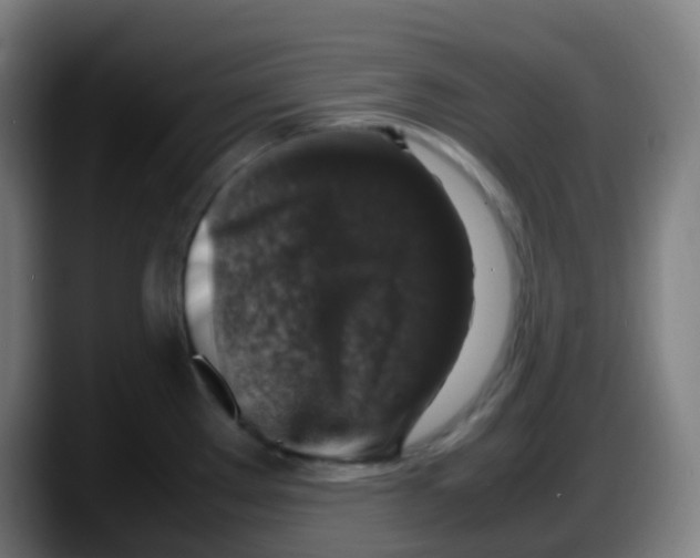 X0000087621289200705251955