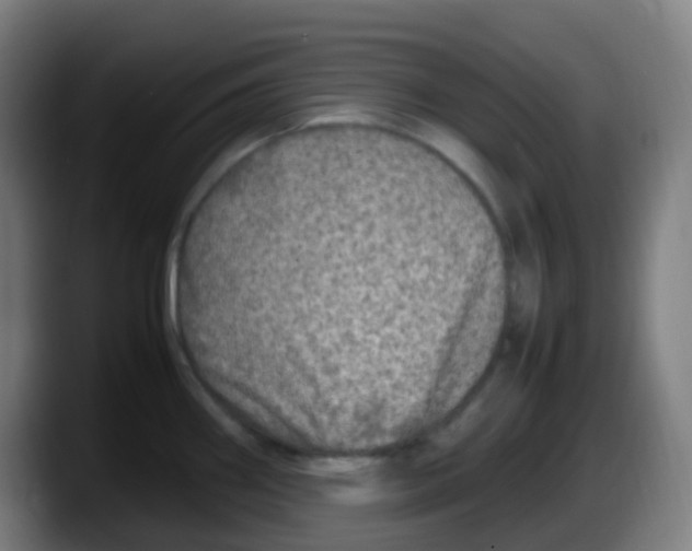 X0000087621290200705251955