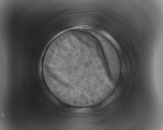 X0000087621292200705251955