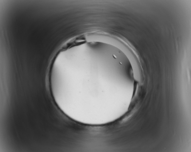 X0000087621293200705251955