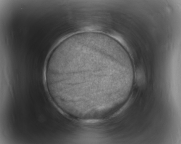 X0000087621294200705251955