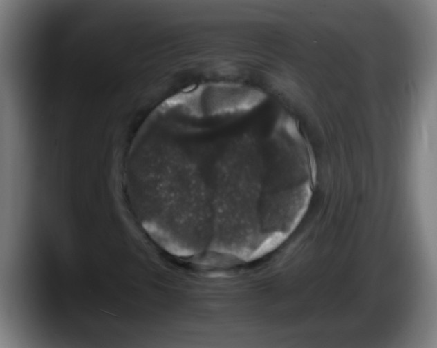 X0000087621297200705251954