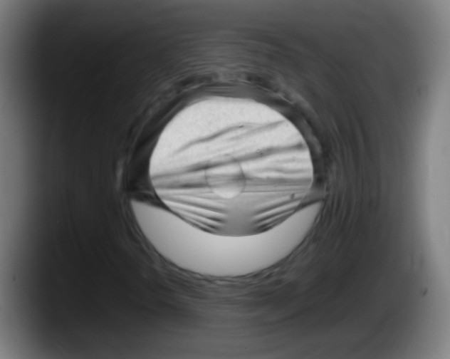 X0000087621298200705251954