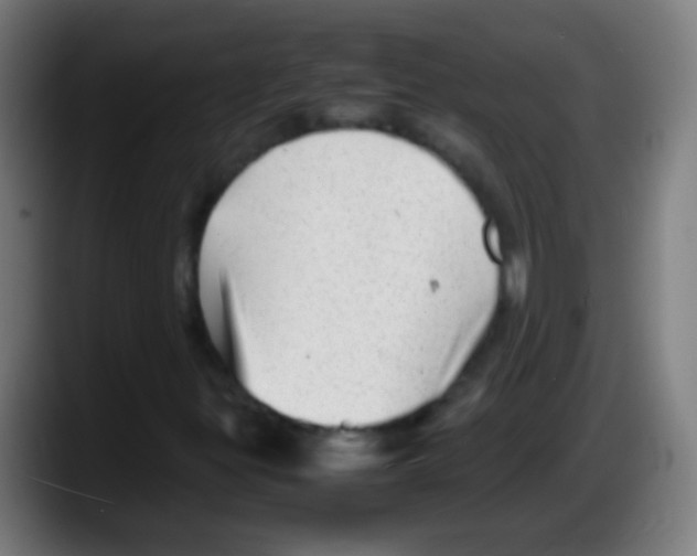 X0000087621299200705251954