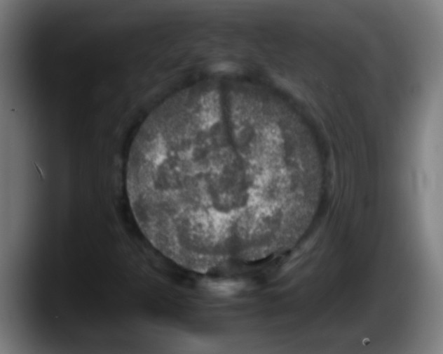 X0000087621301200705251954