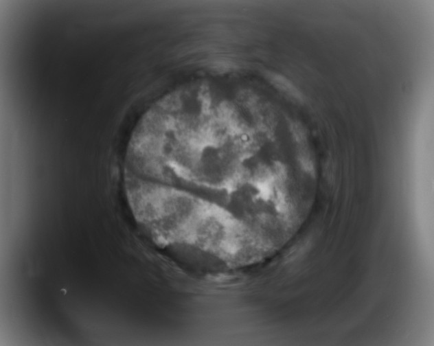 X0000087621302200705251954