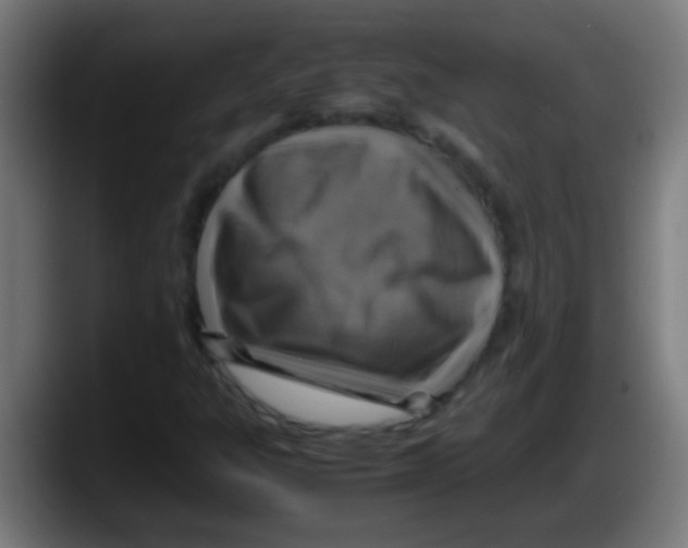 X0000087621303200705251954