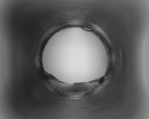 X0000087621304200705251954