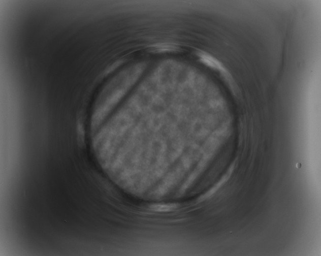 X0000087621305200705251954