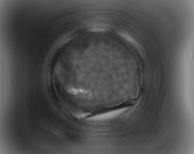 X0000087621306200705251954