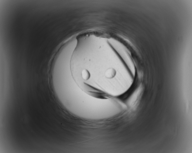 X0000087621308200705251954