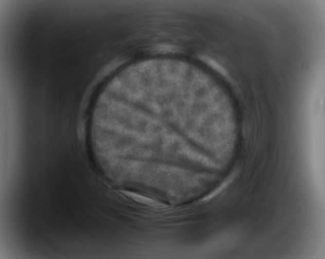 X0000087621309200705251954