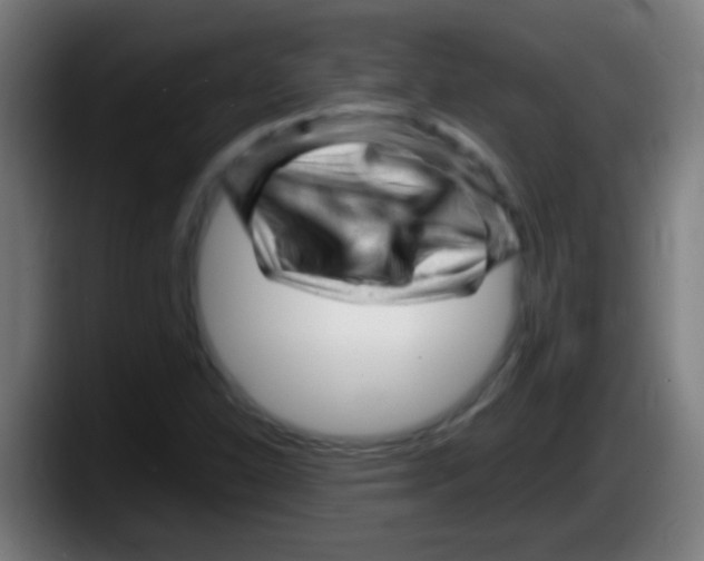 X0000087621310200705251954