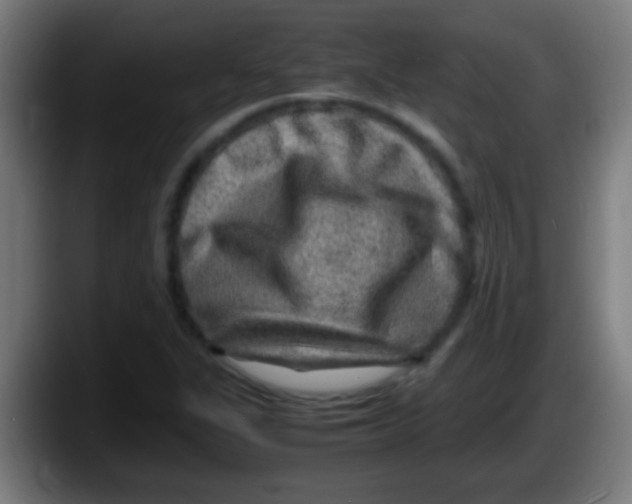 X0000087621311200705251954