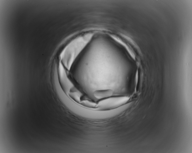 X0000087621312200705251954