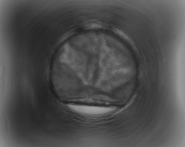 X0000087621313200705251954