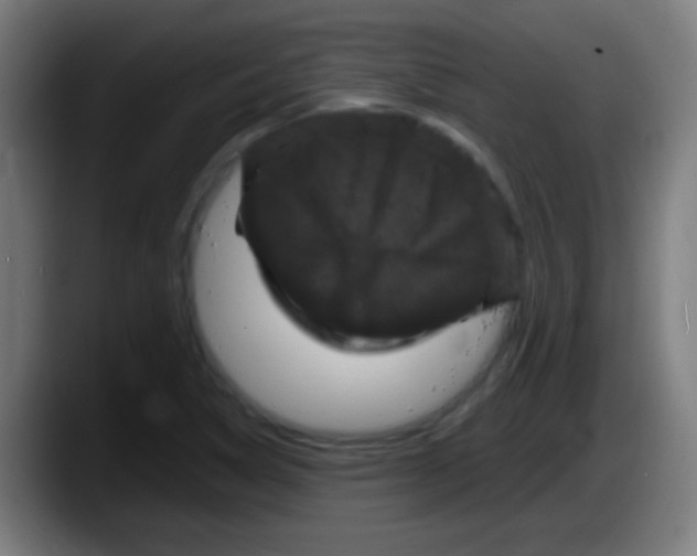 X0000087621314200705251954