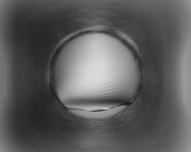 X0000087621316200705251954