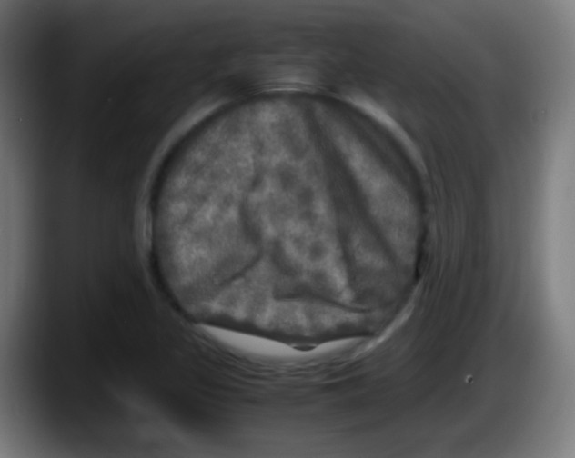 X0000087621317200705251954