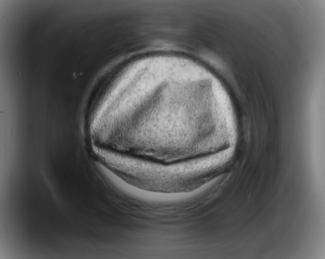 X0000087621318200705251954