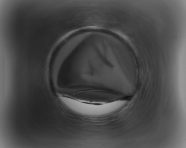 X0000087621319200705251954