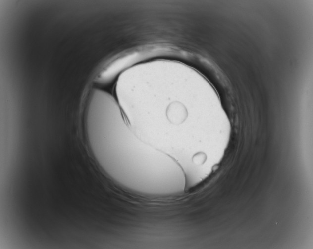 X0000087621320200705251955