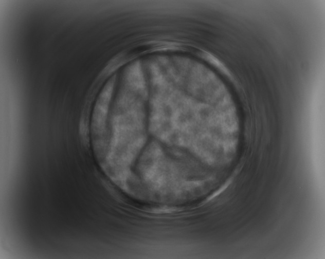 X0000087621321200705251955