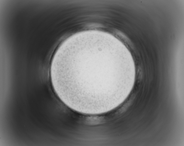 X0000087621322200705251955