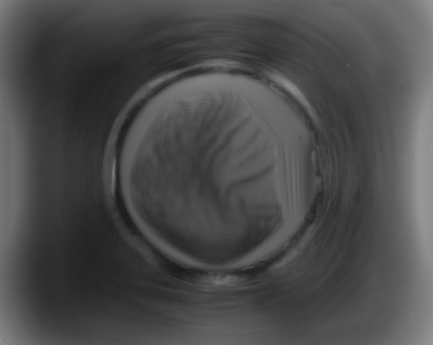 X0000087621323200705251955