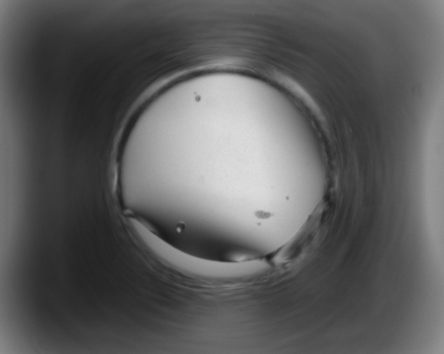 X0000087621324200705251955