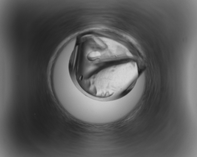 X0000087621326200705251955