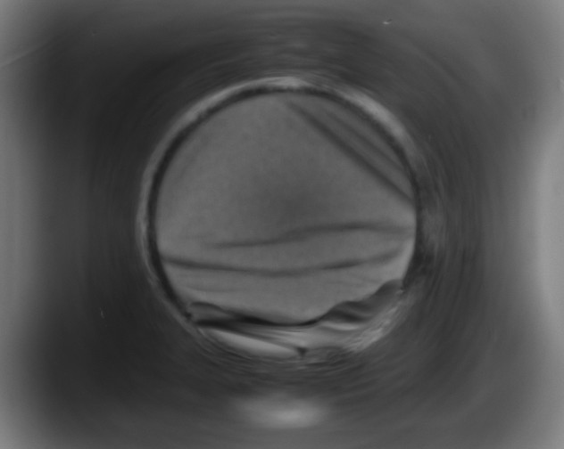 X0000087621327200705251955