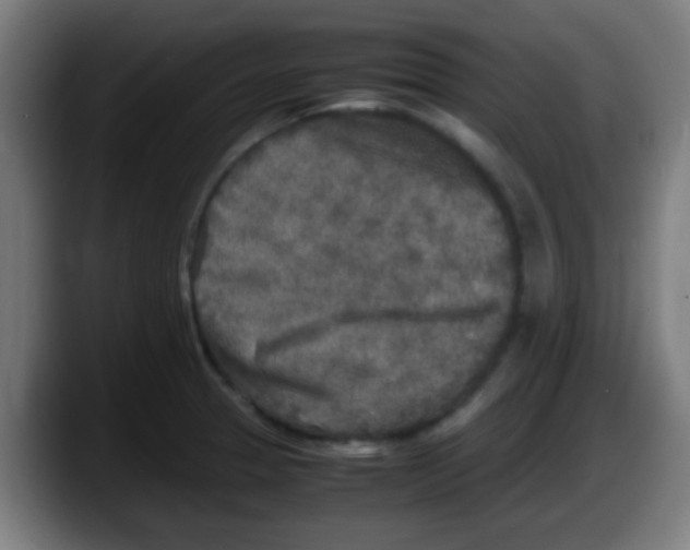 X0000087621329200705251955