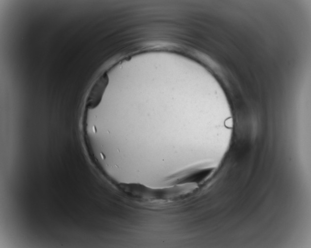 X0000087621330200705251955