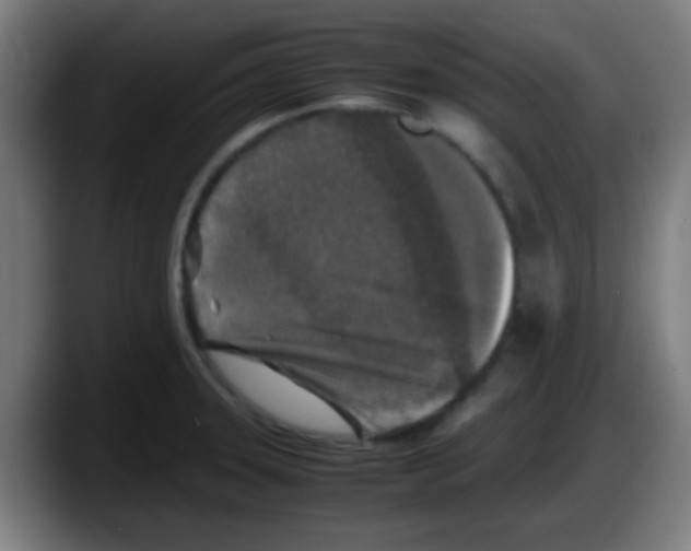 X0000087621331200705251955