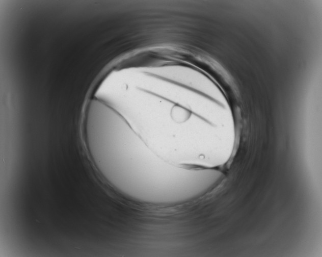 X0000087621332200705251955