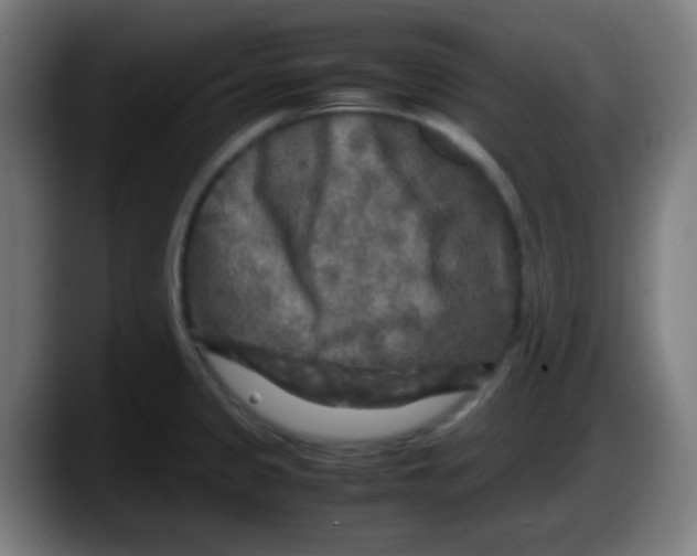 X0000087621333200705251955