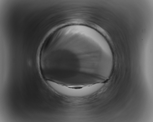 X0000087621334200705251955