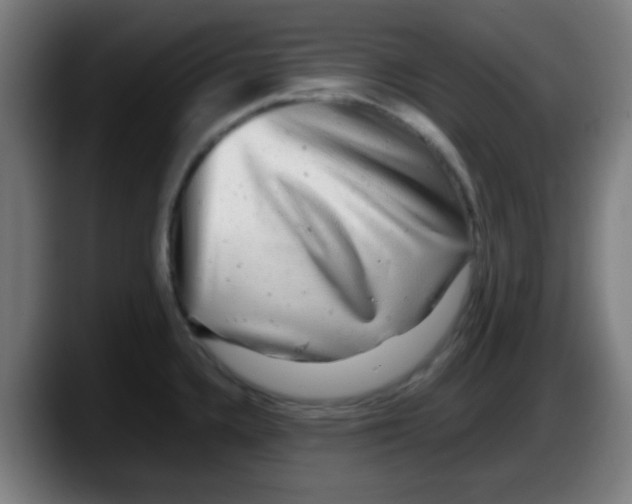 X0000087621336200705251955