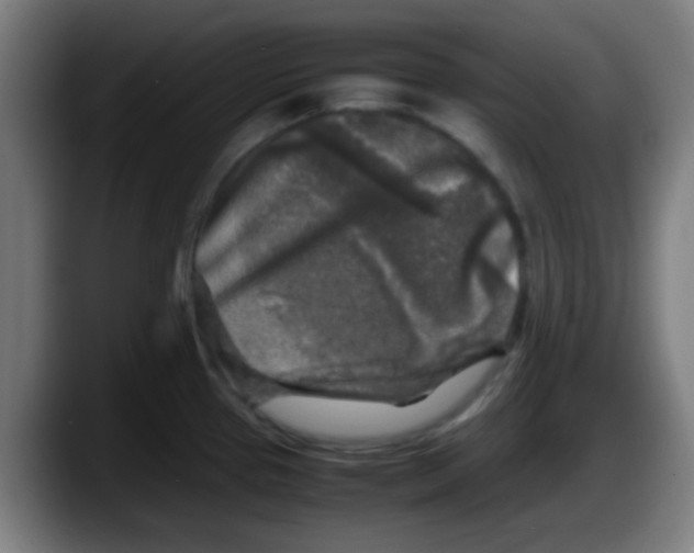 X0000087621337200705251955