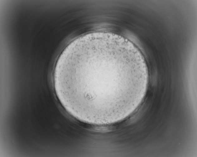 X0000087621338200705251955