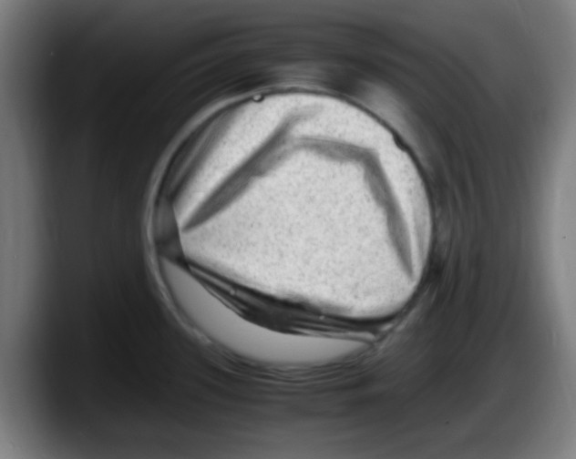 X0000087621339200705251955