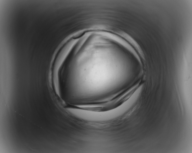 X0000087621340200705251955